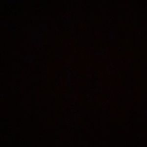 Shipping for Melelanie G only